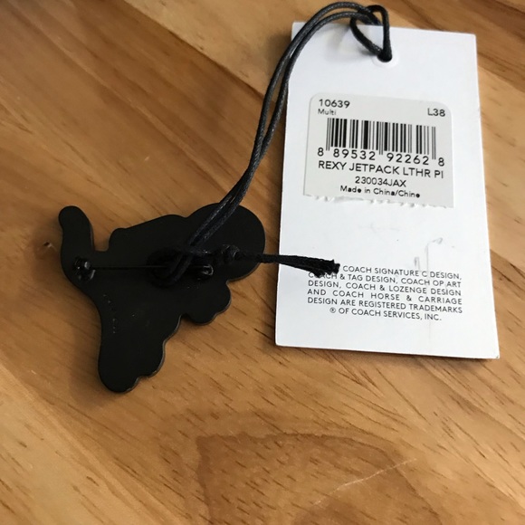 Coach Rexy NASA Pin - Picture 4 of 4